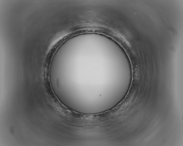 X0000112721352200909101438