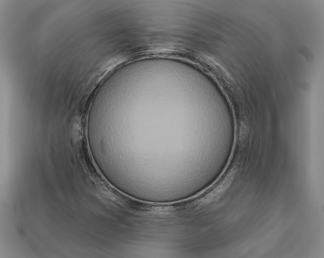 X0000112721353200909101438