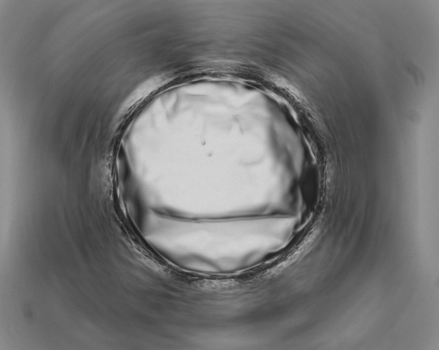 X0000112721354200909101438