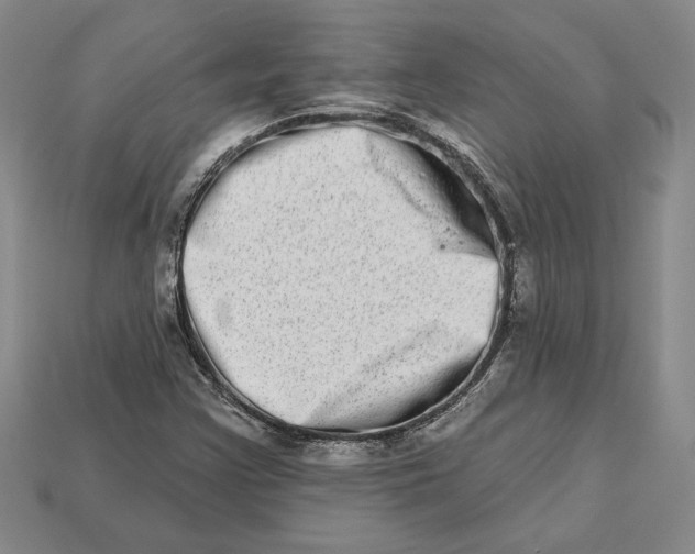 X0000112721355200909101438