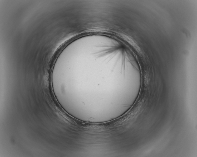 X0000112721356200909101438