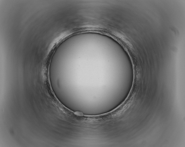 X0000112721357200909101438