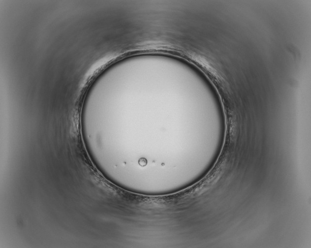 X0000112721358200909101438