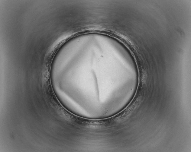 X0000112721359200909101438