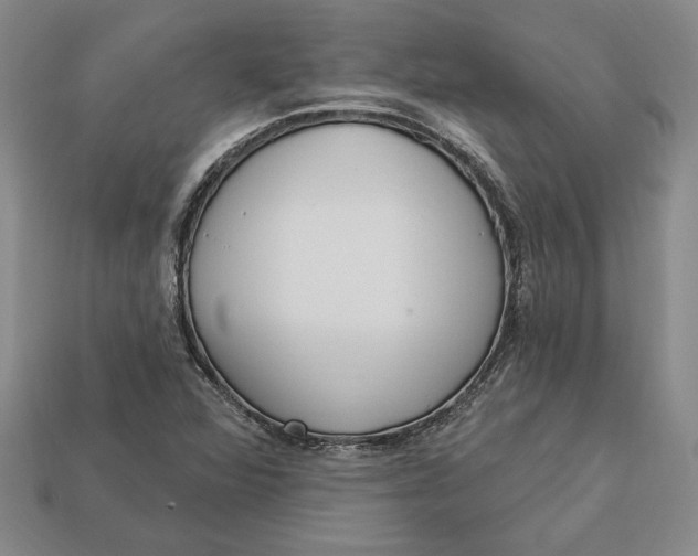 X0000112721360200909101438