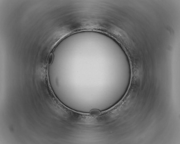 X0000112721361200909101438