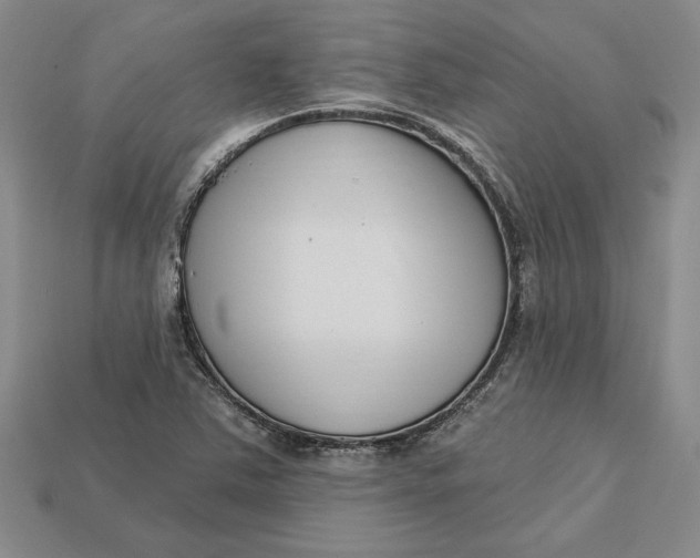 X0000112721363200909101438