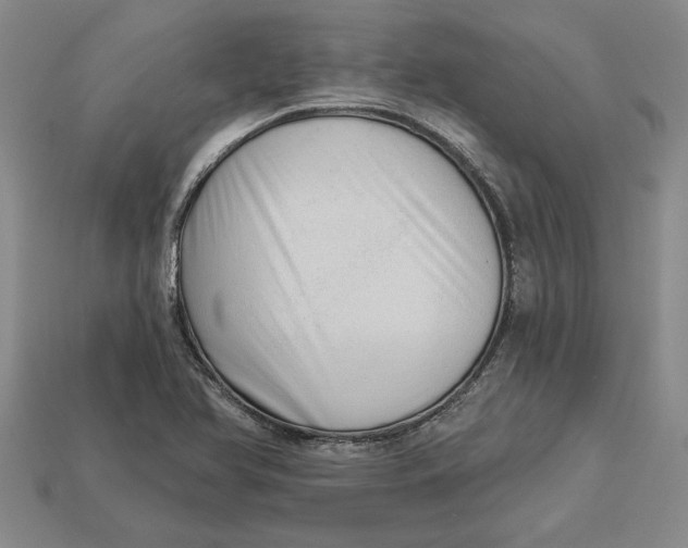 X0000112721366200909101438