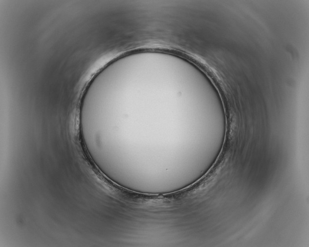 X0000112721367200909101438