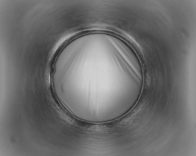 X0000112721368200909101438