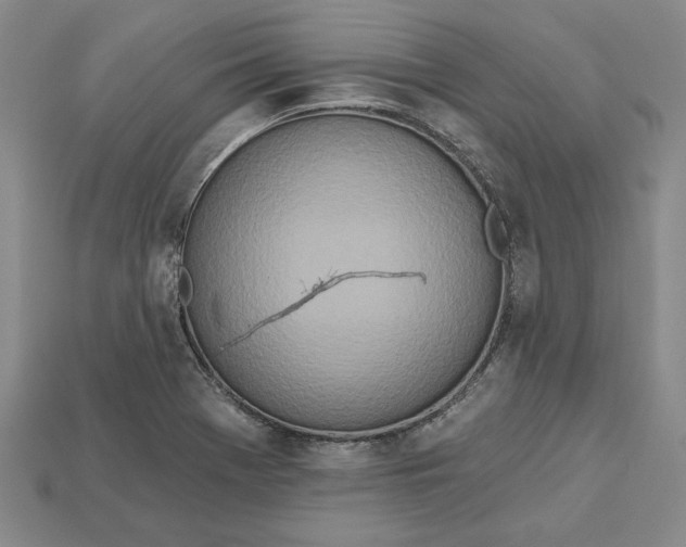 X0000112721369200909101438