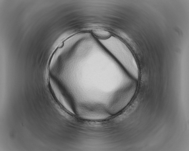 X0000112721370200909101438