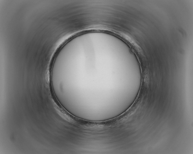 X0000112721372200909101438