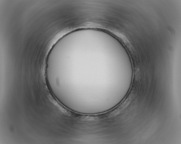 X0000112721374200909101438