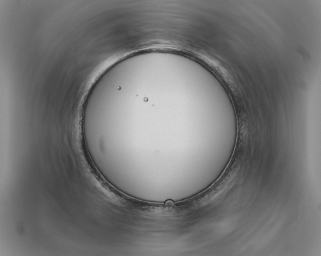 X0000112721375200909101438