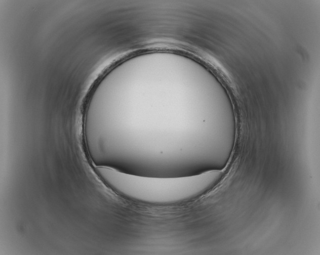 X0000112721376200909101438