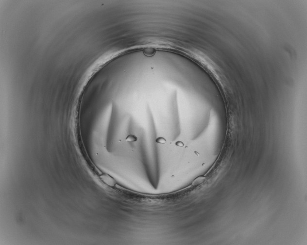 X0000112721379200909101438