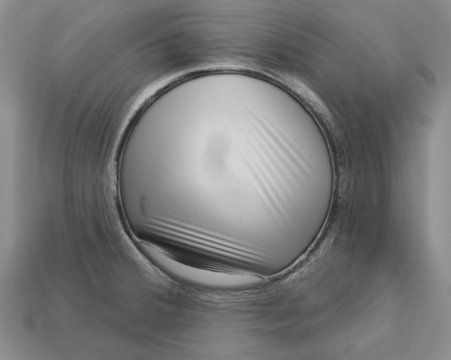 X0000112721380200909101438