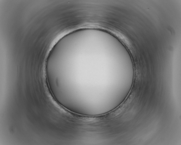 X0000112721382200909101438