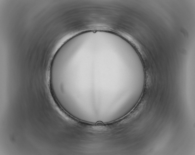 X0000112721383200909101437