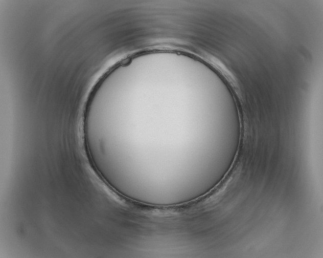 X0000112721384200909101437