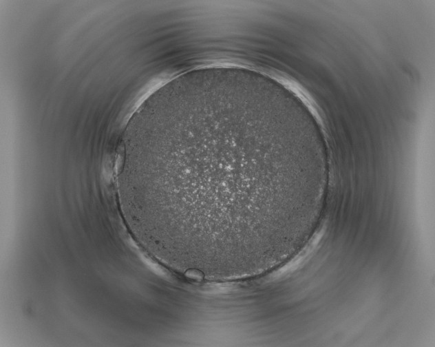 X0000112721385200909101437