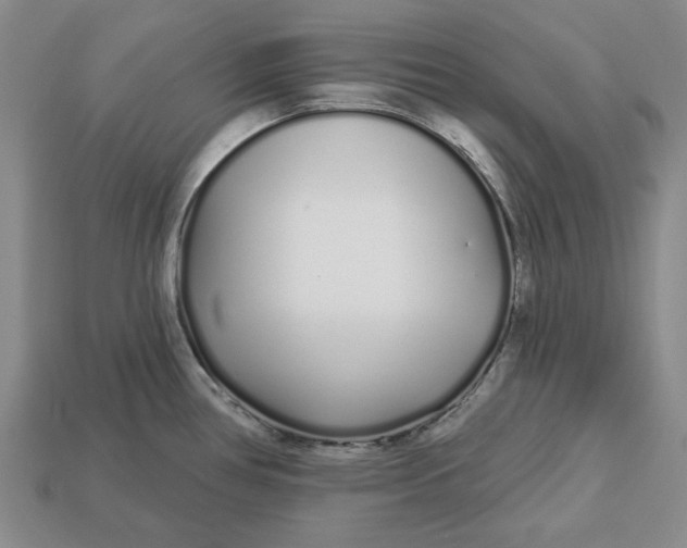 X0000112721386200909101437