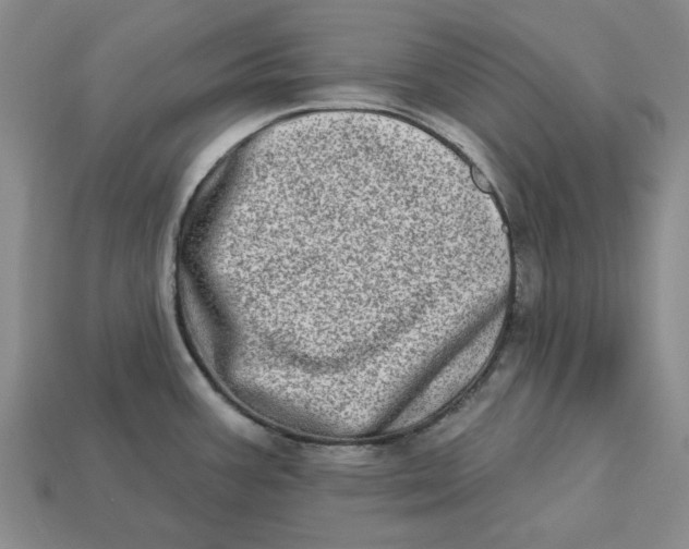 X0000112721387200909101437