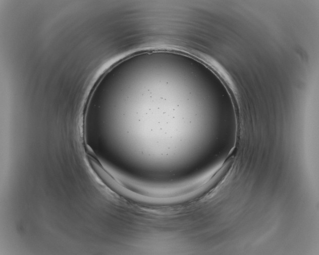 X0000112721388200909101437