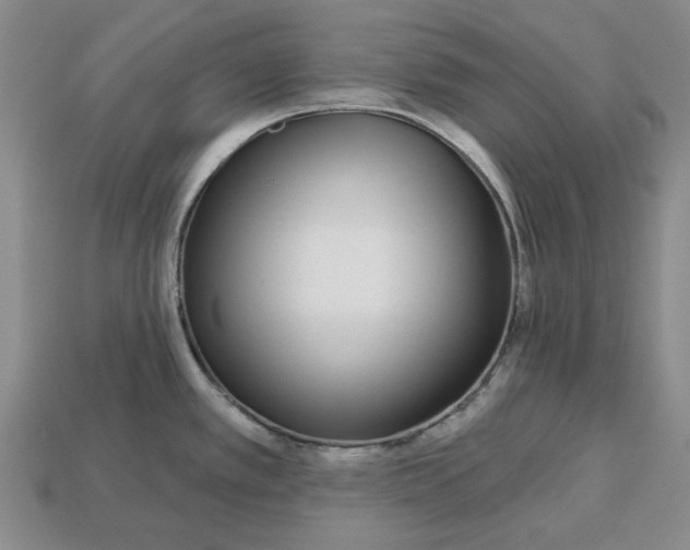 X0000112721389200909101437