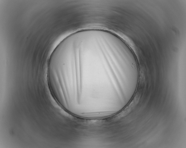 X0000112721390200909101437