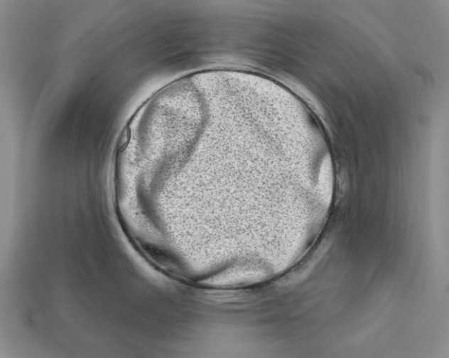 X0000112721391200909101437