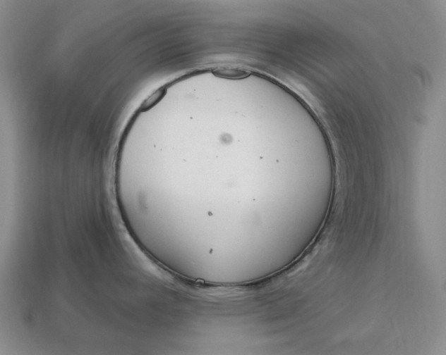 X0000112721392200909101437