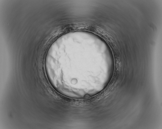 X0000112721393200909101437