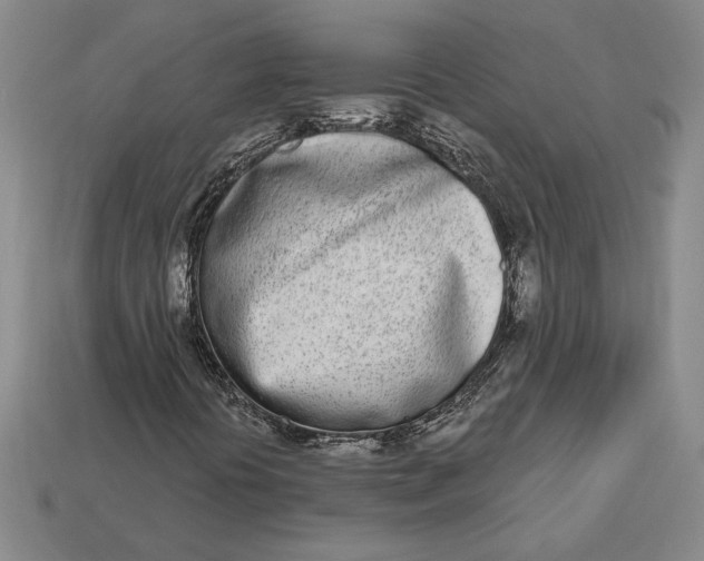 X0000112721394200909101437