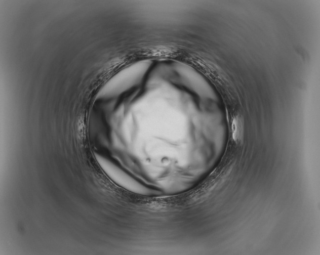 X0000112721395200909101437