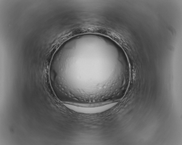 X0000112721397200909101437