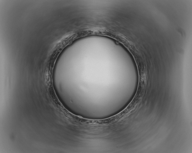 X0000112721398200909101437