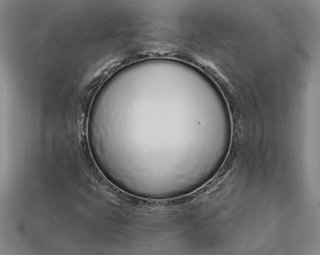 X0000112721399200909101437