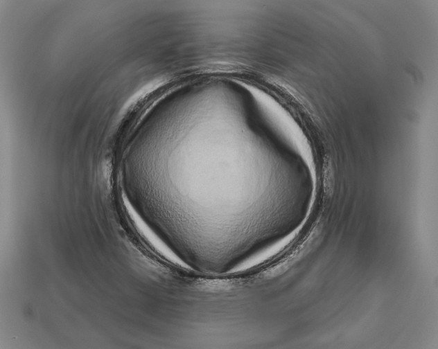 X0000112721402200909101437