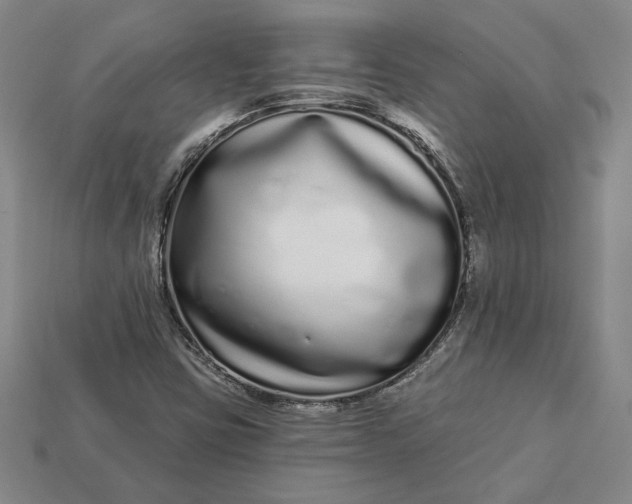 X0000112721403200909101437