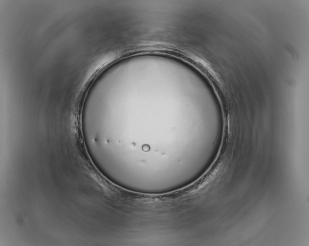 X0000112721405200909101437