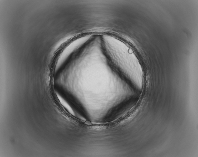 X0000112721406200909101437