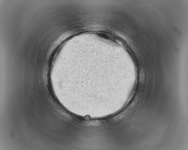 X0000112721410200909101437