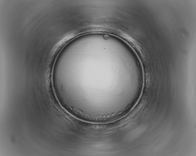 X0000112721411200909101437