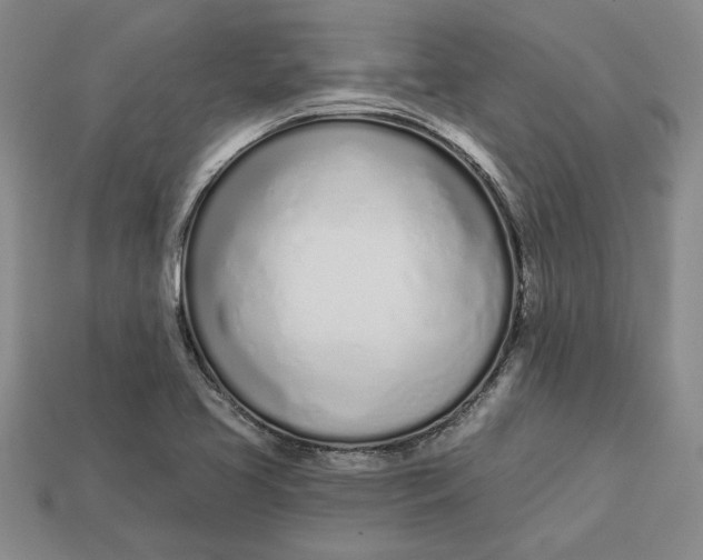 X0000112721413200909101437