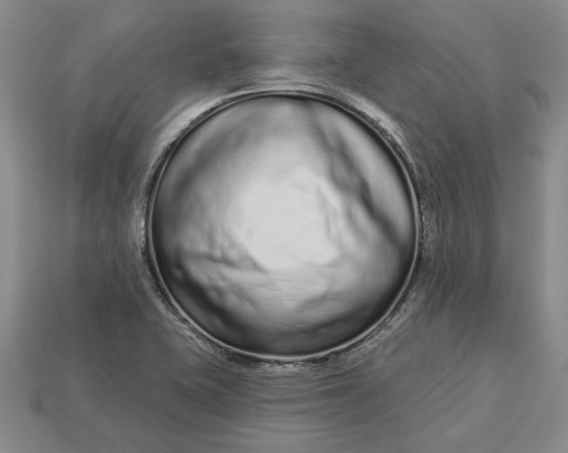 X0000112721415200909101437