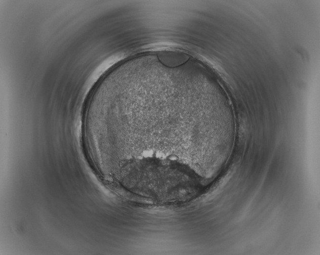 X0000112721418200909101437