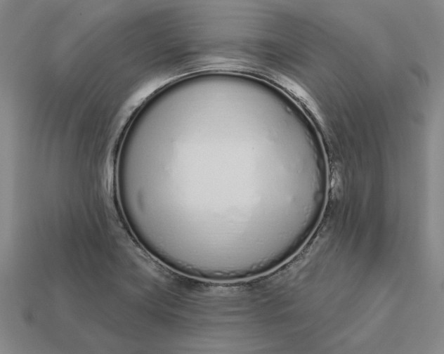 X0000112721419200909101437