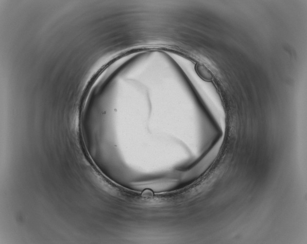 X0000112721420200909101437